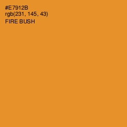 #E7912B - Fire Bush Color Image